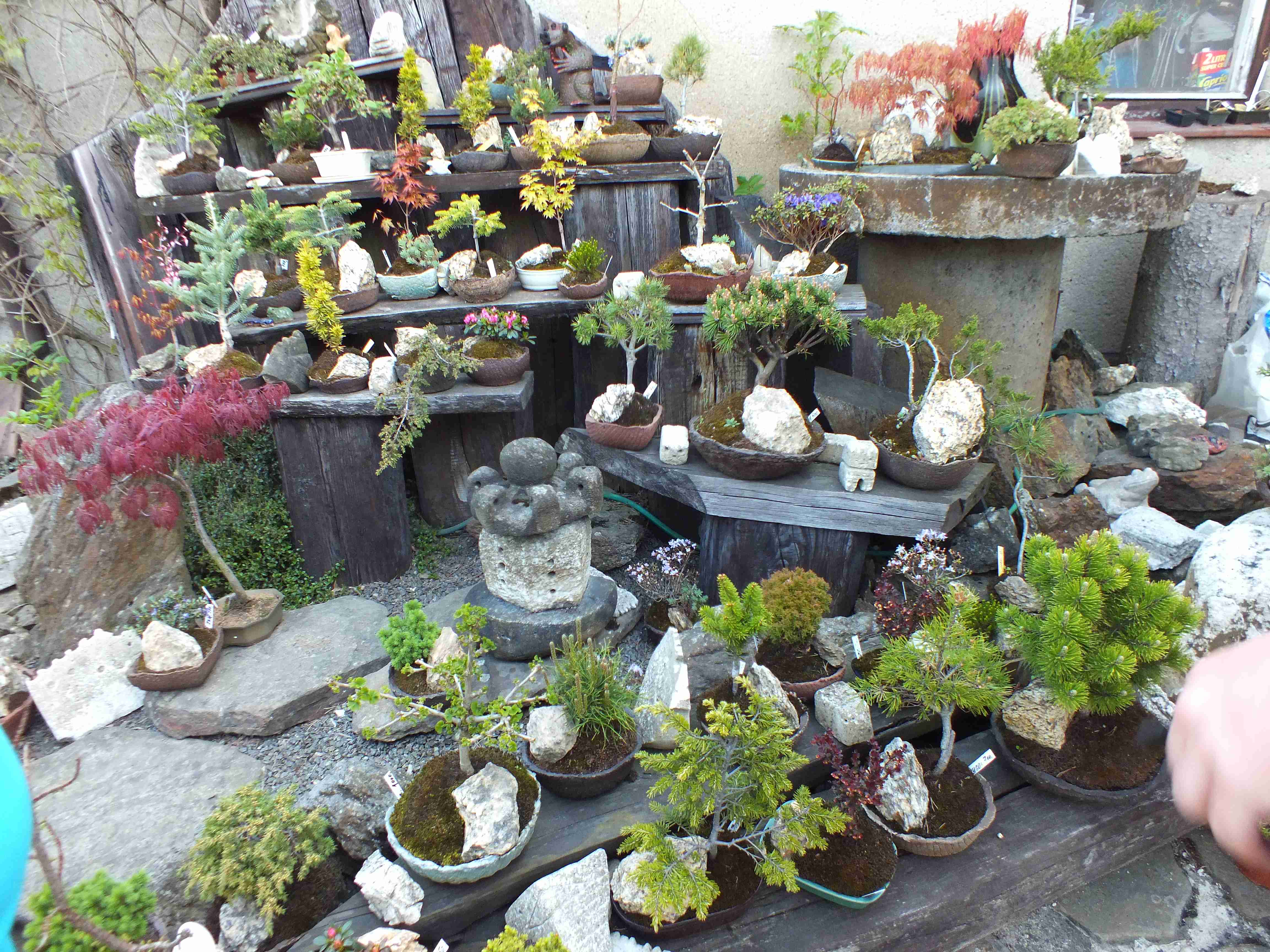2015-05-16 (5)