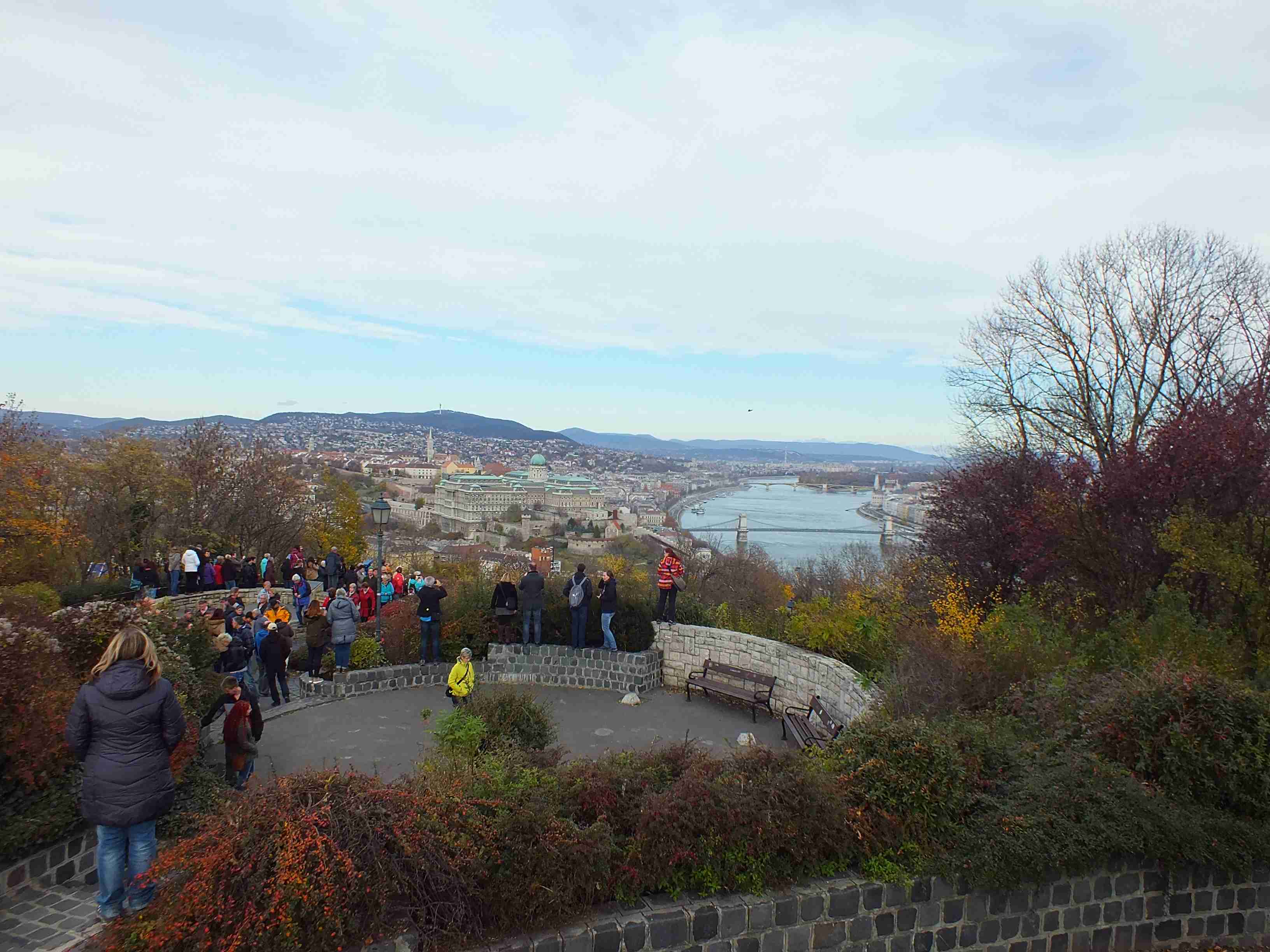2015-11-14 (23)