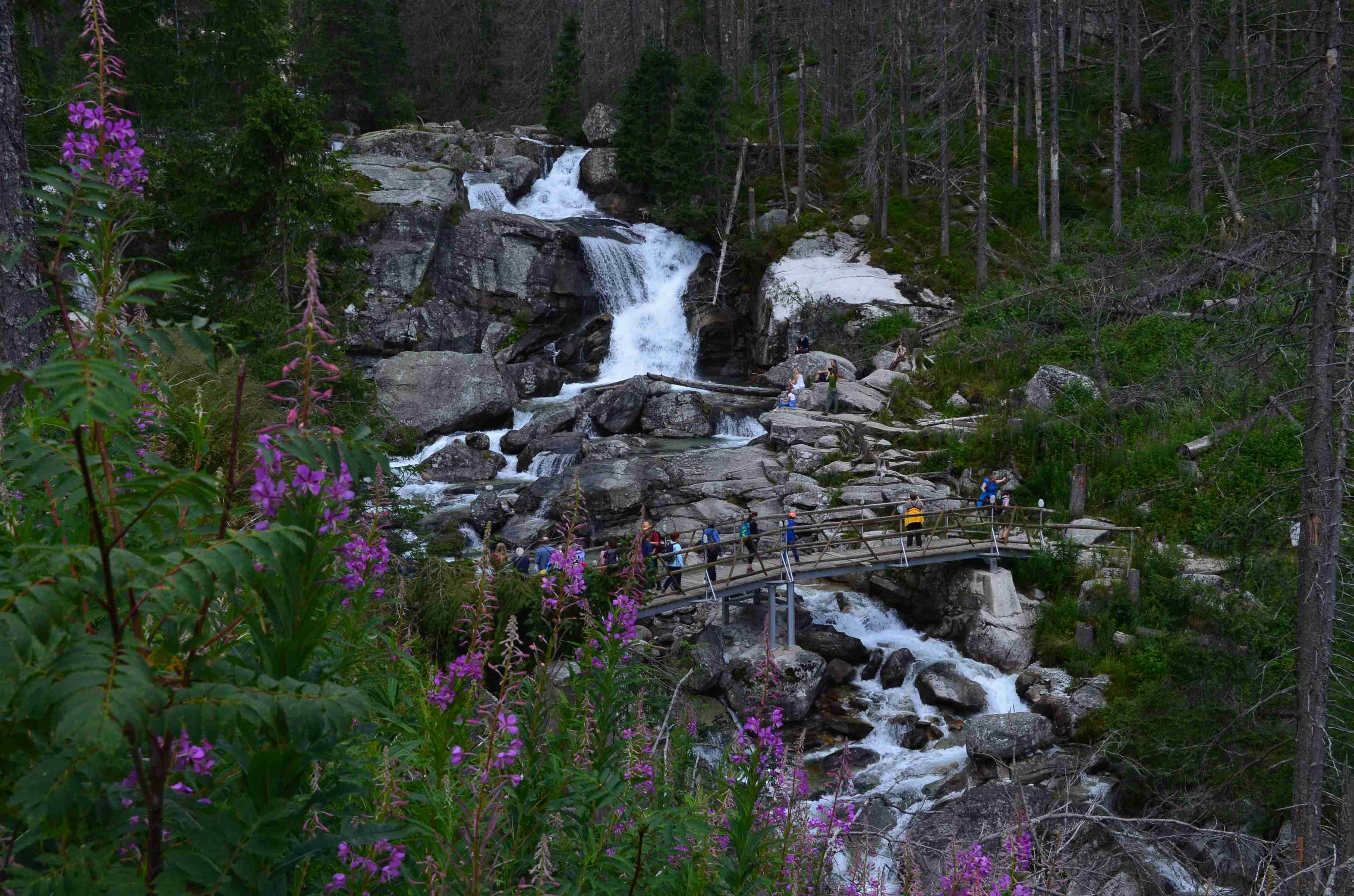 DSC_0571