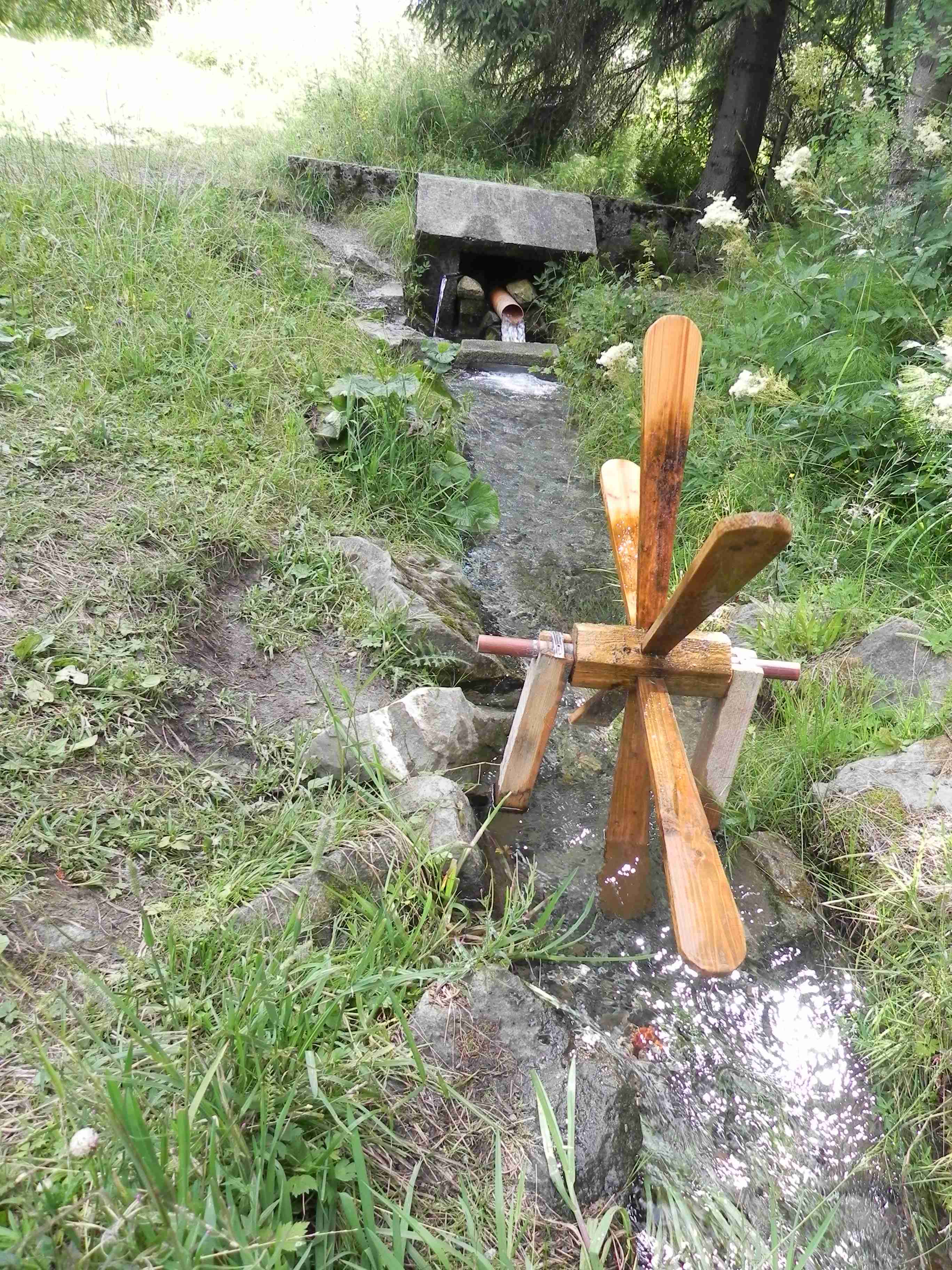 DSCN6385