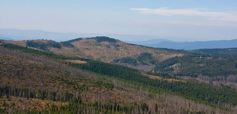 Šumava-093