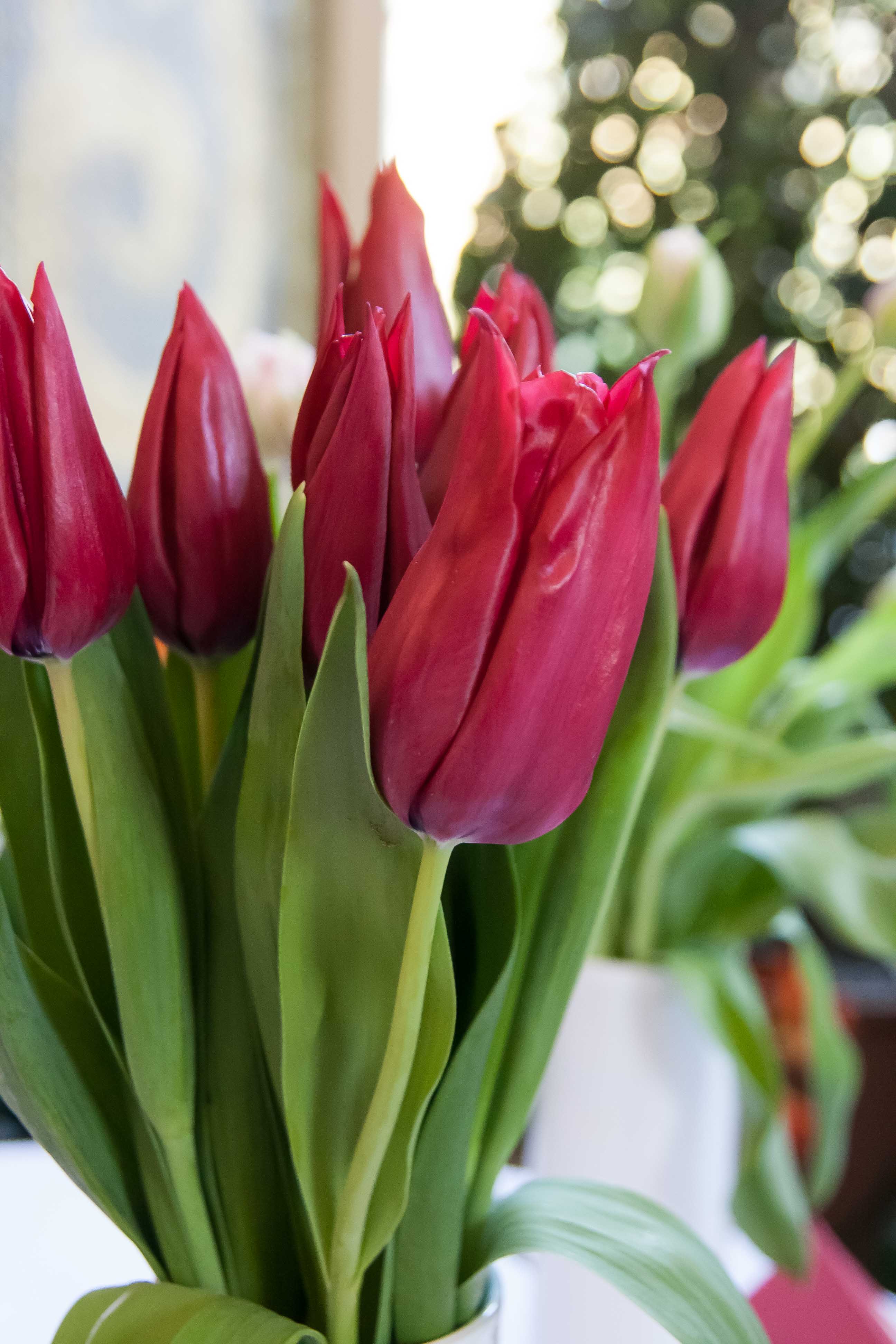 Velikonoční Buchlov, Buchlovice-13